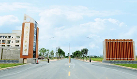 �ό�������W(xu��)